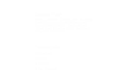 Plum Berry Runtz - 1mg